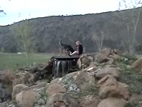 Outdoor dog sex at the top of the mountain